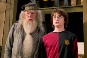 harry-potterin-dumbledoreuydu-michael-gambon-oldu_56dc0270__w1200xh786