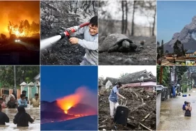 xcI7TDijhEGT1QpwJL8lgQ