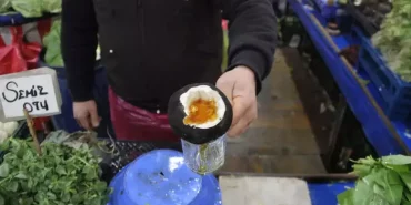 6583ffe8623a7853c1b56fb8