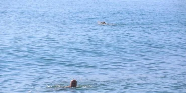 658845f2e3acc824__w1200xh800