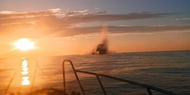 ONU91FkTzky-sNljquLeMg