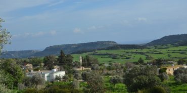 WhatsApp Image 2024-01-21 at 11.49.36