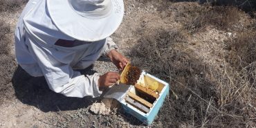 WhatsApp Image 2024-01-22 at 08.10.38