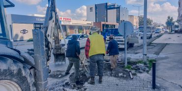 WhatsApp Image 2024-02-20 at 13.03.37