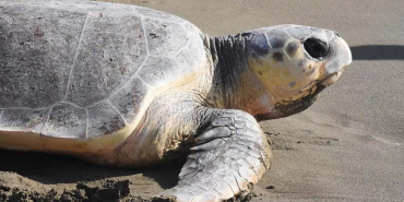 65eee3423b6dd284__w1200xh675