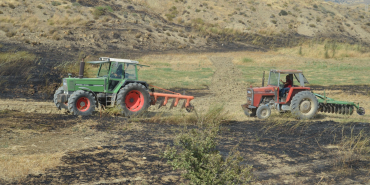 WhatsApp Image 2024-03-18 at 08.04.06