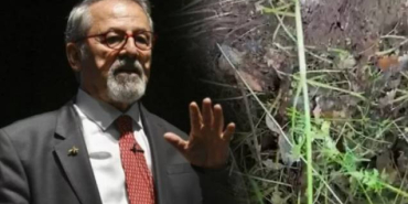 6643338dfd598038d7b2b58a