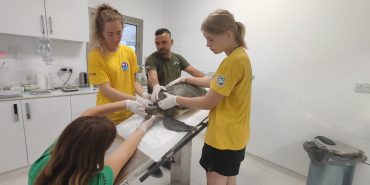 448516484_888108690023900_6244503957049842618_n