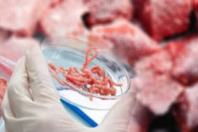 v2donmuet_1717578620 (1)