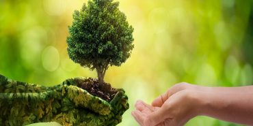 world-environment-day