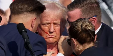 66937a1ee3433237__w1200xh784