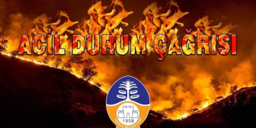 WhatsApp Image 2024-07-07 at 23.29.34