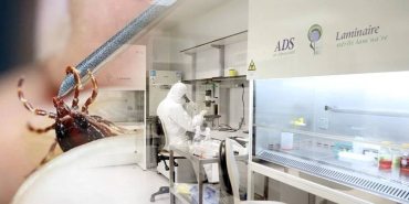 ageVK13BF0OUcDZzB2Qt1Q