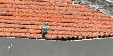 v2yeniproje33_1720777344