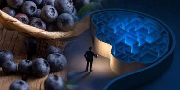 xvDacwhWcESzmExGfOJNlQ