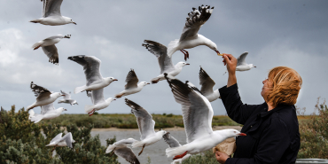 32--devlet-fotograf-yarismasi2