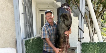 66c7335a04608180__w1200xh1194