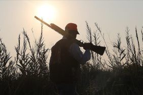 thumbs_b_c_1162de3c3ed12d3280954fc96b2f2b50