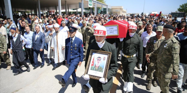 thumbs_b_c_137f4f0c63f8d6593db3e0d7ab8a065b