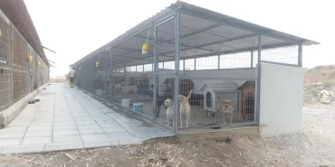 v2haberlerkbrs1_1724426608