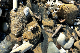 464430296_10161682815858468_7363574139111449451_n