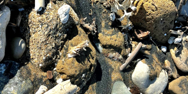 464430296_10161682815858468_7363574139111449451_n