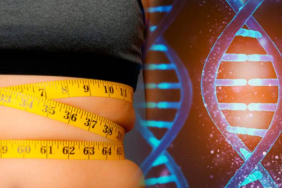 671217816bdee584__w1200xh800