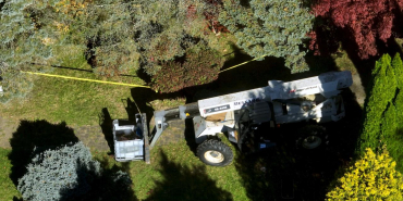 feto-mezar-aa-2294448