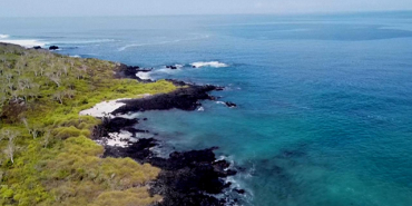 okyanus-trt-haber-1596007