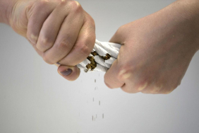 sigara-tutun-aa-1488654