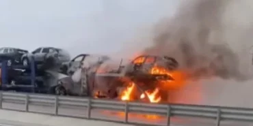 6749dcc892580697__w1200xh861