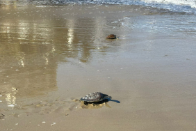 WhatsApp Image 2024-11-09 at 10.41.15