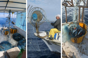 kıbrıshaberler789074775