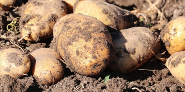 thumbs_b_c_03e6649e8dd7db029503843da7764818