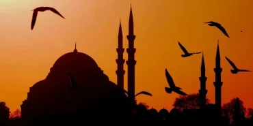 a7ajFoVD_0qc4WPPFK2kXA