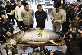 2fvzmsR5wkCnFbBVOPusgQ