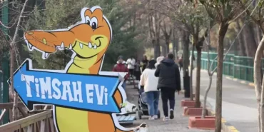 677a35b26c0175a78eb03983