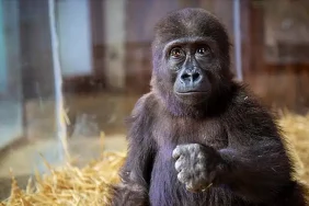 tarim-ve-orman-bakanligi-ndan-_1736600590_tCvkHQ