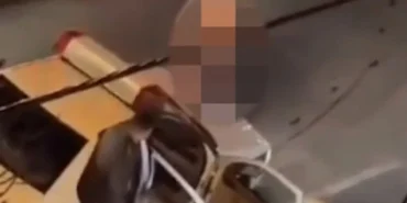 67a320e14290a405__w1200xh966