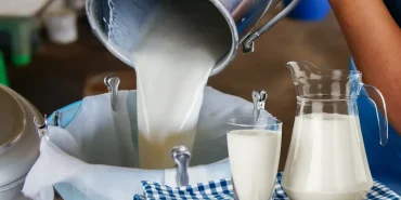 tusedadtan-cig-sut-icin-dev-zam-talebi-evkp-cover