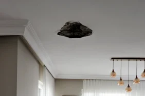 67c5c0c68d864480__w1200xh1905