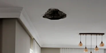 67c5c0c68d864480__w1200xh1905