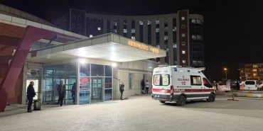 67cde54e9cf63392__w1200xh900