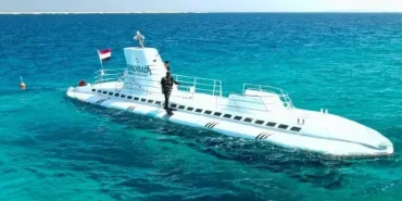 67e56a8d1dd8c127__w1200xh800