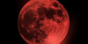 mw3fPLkdpEKcb-dbuW9g4w