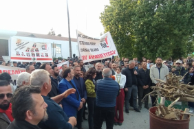 WhatsApp Image 2025-04-14 at 18.15.51