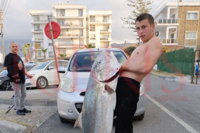 WhatsApp Image 2025-04-28 at 20.04.42 (1) (1)