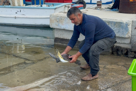 WhatsApp Image 2025-05-05 at 13.51.22