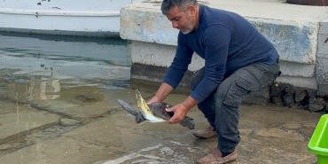 WhatsApp Image 2025-05-05 at 13.51.22