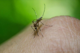 thumbs_b_c_ced7ee6d5260795e0172533a4e6c371f